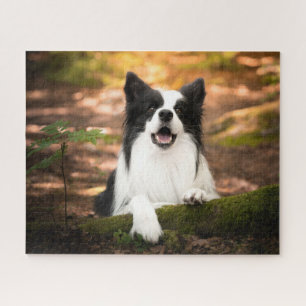 Cutest Baby Animals Black & White Border Collie Jigsaw Puzzle
