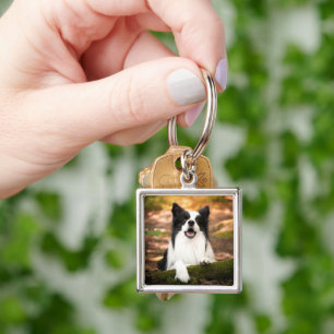 Cutest Baby Animals Black & White Border Collie Keychain