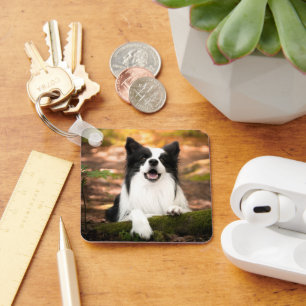 Cutest Baby Animals Black & White Border Collie Keychain