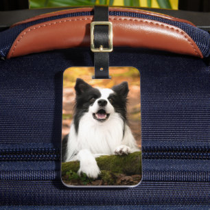 Cutest Baby Animals   Black & White Border Collie Luggage Tag
