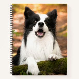 Cutest Baby Animals   Black & White Border Collie Notebook