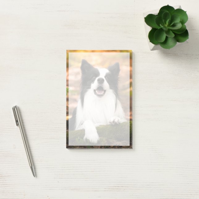 Cutest Baby Animals | Black & White Border Collie Post-it Notes (Office)