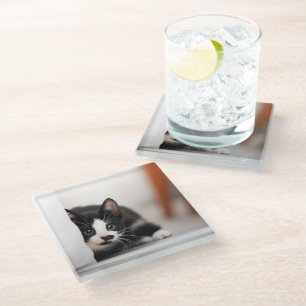 Cutest Baby Animals Black & White Kitten Glass Coaster