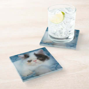 Cutest Baby Animals   Black & White Kitten Glass Coaster