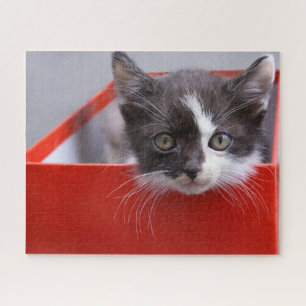 Cutest Baby Animals Black & White Kitten Jigsaw Puzzle