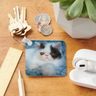 Cutest Baby Animals Black & White Kitten Keychain