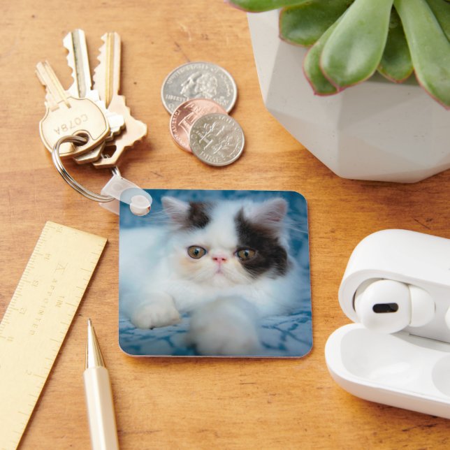 Cutest Baby Animals | Black & White Kitten Keychain (Desk)