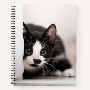 Cutest Baby Animals   Black & White Kitten Notebook