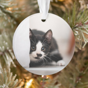 Cutest Baby Animals Black & White Kitten Ornament