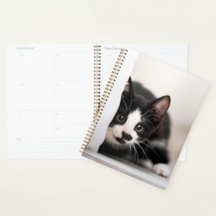 Cutest Baby Animals   Black & White Kitten Planner