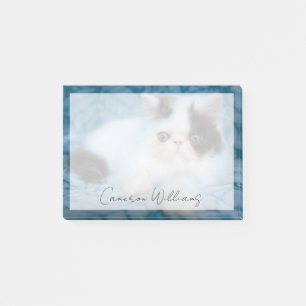 Cutest Baby Animals   Black & White Kitten Post-it Notes