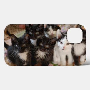 Cutest Baby Animals   Black & White Kittens iPhone 13 Case