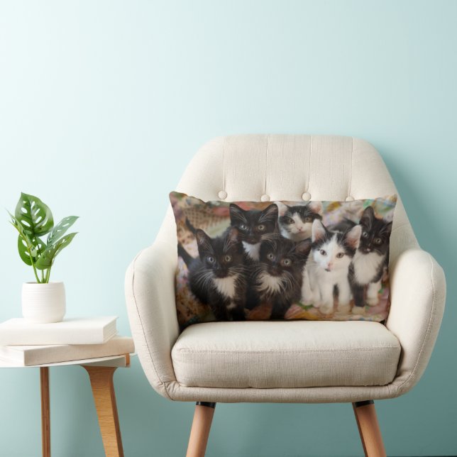 Cutest Baby Animals | Black & White Kittens Lumbar Pillow (Chair)