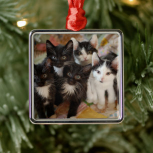 Cutest Baby Animals Black & White Kittens Metal Ornament