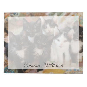 Cutest Baby Animals   Black & White Kittens Notepad