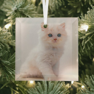 Cutest Baby Animals Blue Eye Kitten Glass Ornament