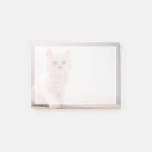 Cutest Baby Animals Blue Eye Kitten Post-it Notes