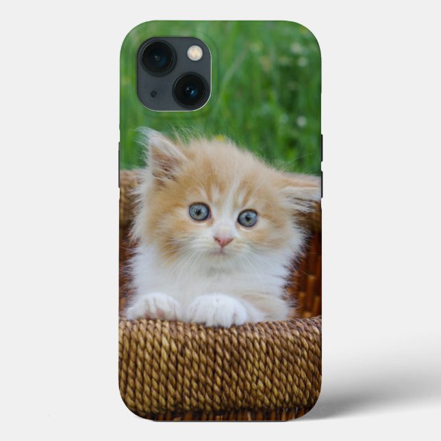 Cutest Baby Animals | Blue Eyed Kitten Case-Mate iPhone Case (Back)