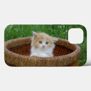 Cutest Baby Animals Blue Eyed Kitten iPhone 13 Case