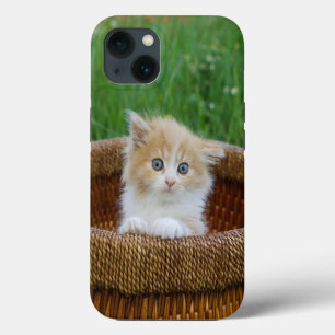 Cutest Baby Animals Blue Eyed Kitten iPhone 13 Case