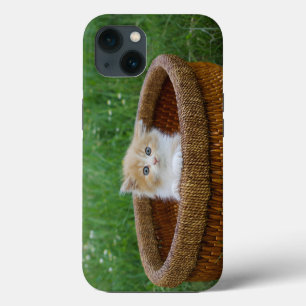 Cutest Baby Animals Blue Eyed Kitten iPhone 13 Case