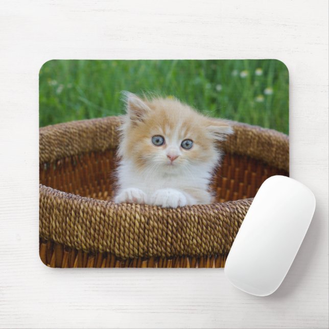 Cutest Baby Animals | Blue Eyed Kitten Mouse Pad (With Mouse)