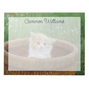 Cutest Baby Animals   Blue Eyed Kitten Notepad