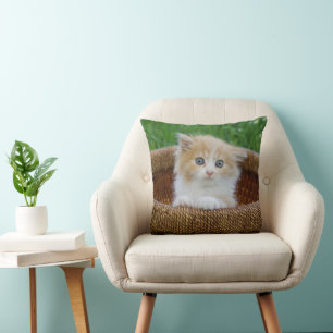 Cutest Baby Animals Blue Eyed Kitten Throw Pillow