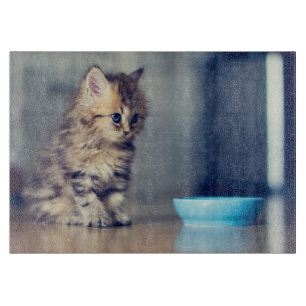 Cutest Baby Animals   Blue-eyed Persian Kitten Cutting Board
