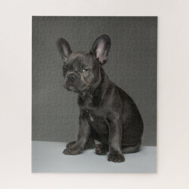 Cutest Baby Animals | Blue French Bulldog Puppy Jigsaw Puzzle (Vertical)