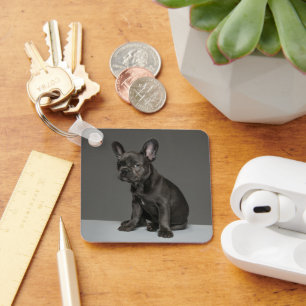 Cutest Baby Animals Blue French Bulldog Puppy Keychain