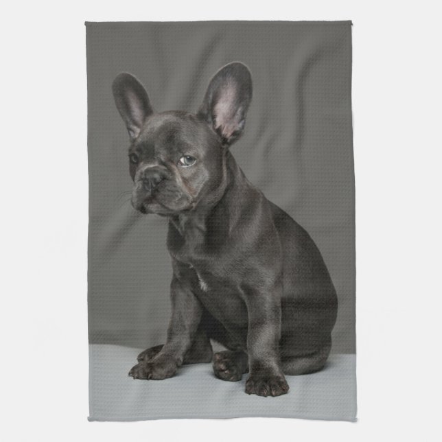 Cutest Baby Animals | Blue French Bulldog Puppy Kitchen Towel (Vertical)