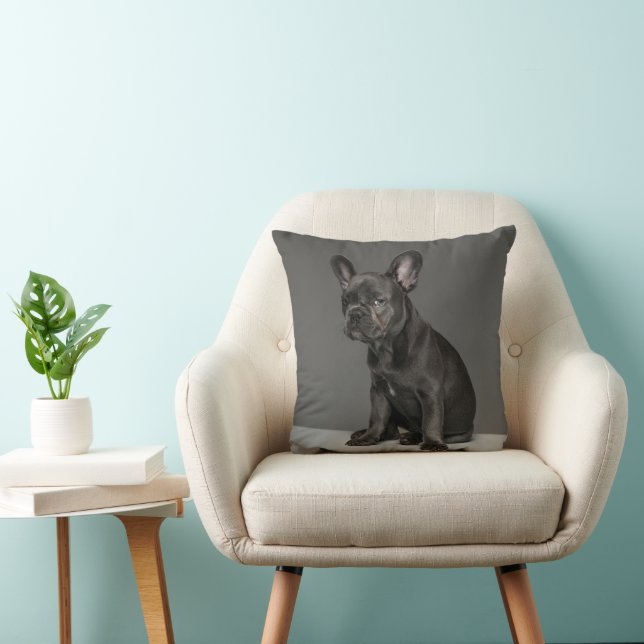 Cutest Baby Animals | Blue French Bulldog Puppy Throw Pillow (Chair)