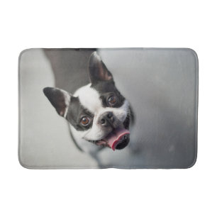 Cutest Baby Animals   Boston Bulldog Smile Bath Mat