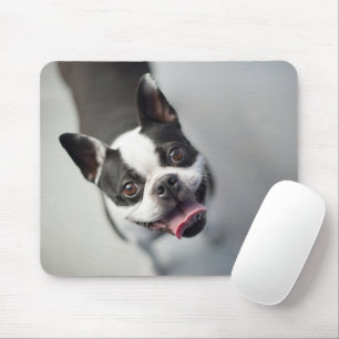 Cutest Baby Animals Boston Bulldog Smile Mouse Pad
