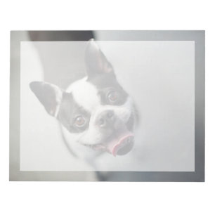 Cutest Baby Animals   Boston Bulldog Smile Notepad