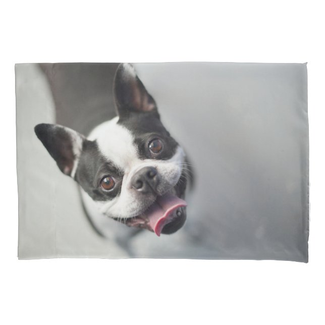 Cutest Baby Animals | Boston Bulldog Smile Pillowcase (Front)