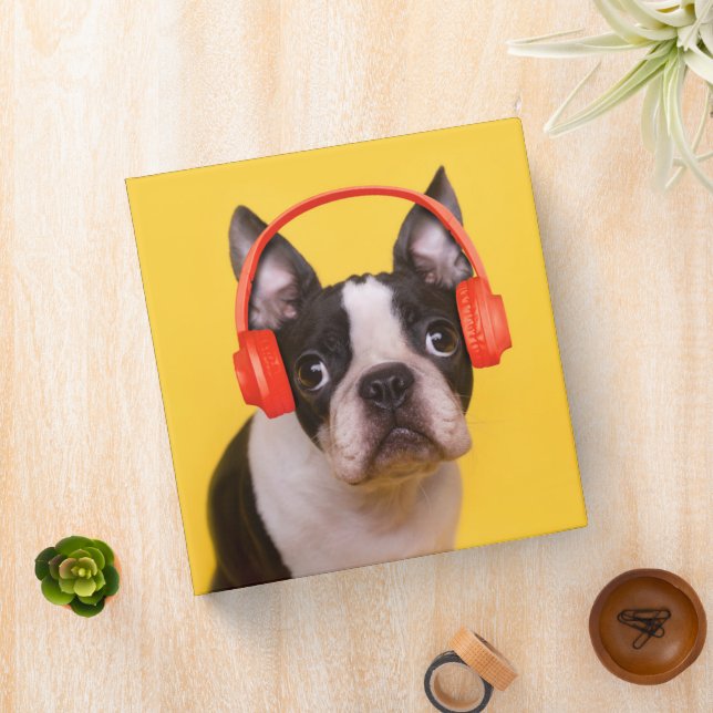 Cutest Baby Animals | Boston Terrier Headphones Binder (In Situ)