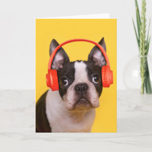Cutest Baby Animals Boston Terrier Headphones Card