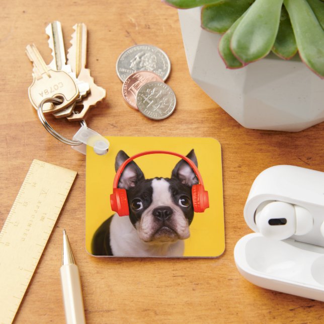 Cutest Baby Animals | Boston Terrier Headphones Keychain (Desk)