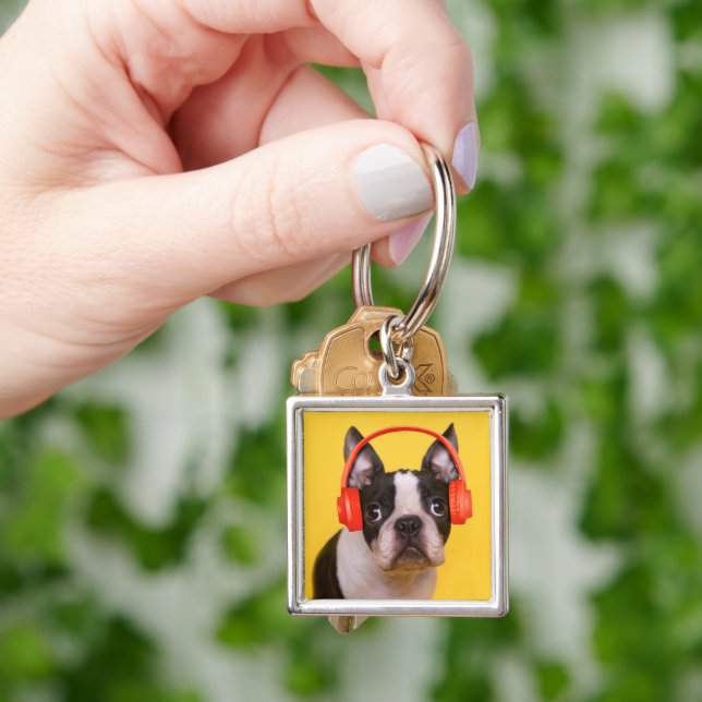 Cutest Baby Animals | Boston Terrier Headphones Keychain (Hand)