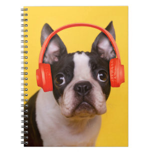 Cutest Baby Animals   Boston Terrier Headphones Notebook