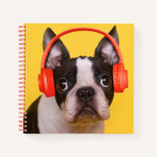 Cutest Baby Animals   Boston Terrier Headphones Notebook