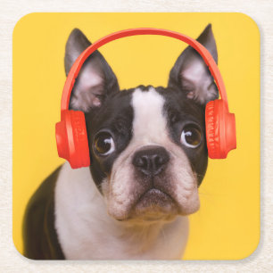 Cutest Baby Animals Boston Terrier Headphones Square Paper Coaster
