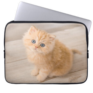 Cutest Baby Animals British Longhair Kitten Laptop Sleeve