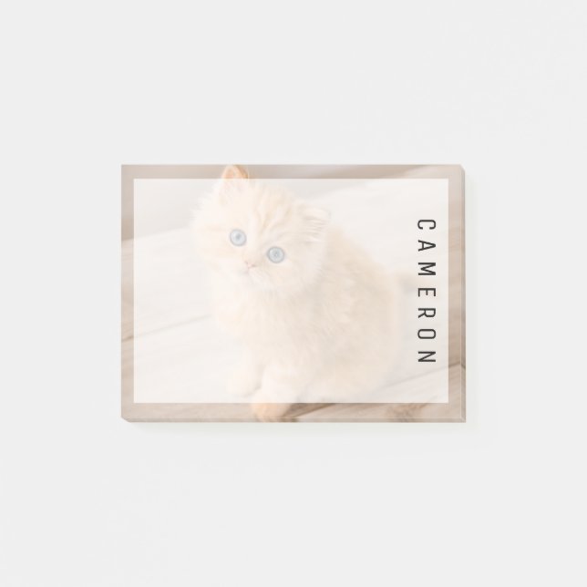 Cutest Baby Animals | British Longhair Kitten Post-it Notes (Front)