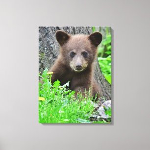 Cutest Baby Animals   Brown Bear Cub Canvas Print