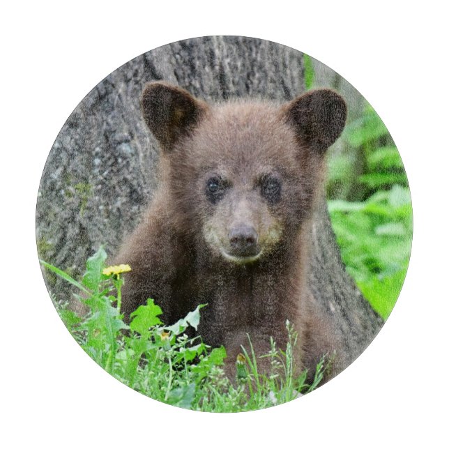 Cutest Baby Animals | Brown Bear Cub Cutting Board (Front)