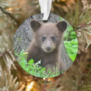 Cutest Baby Animals   Brown Bear Cub Ornament