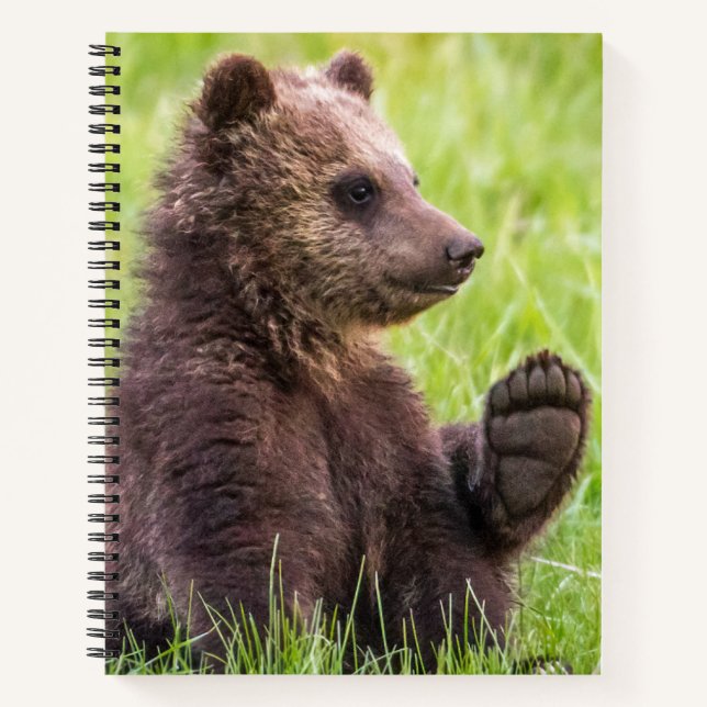 Cutest Baby Animals | Brown Bear Cub Wave Notebook (Front)